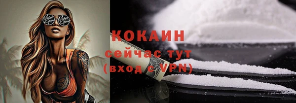 кокс Алексин