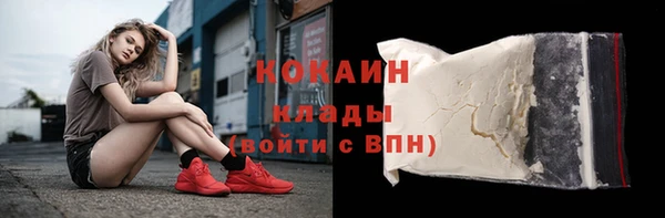 кокс Алексин