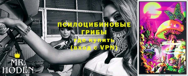 кокс Алексин