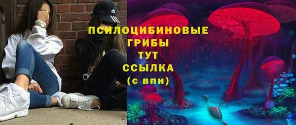 кокс Алексин